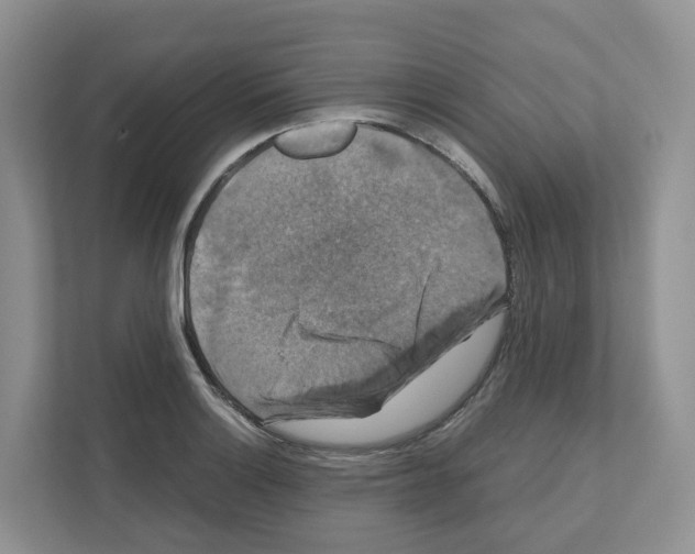 X0000111121132200908111014
