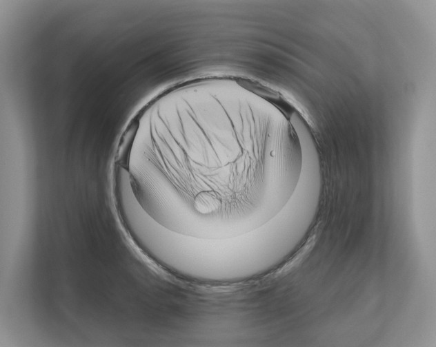 X0000111121134200908111014