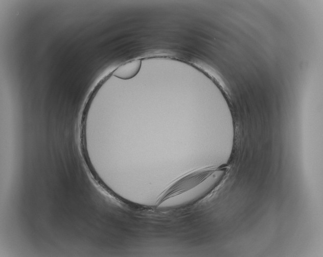 X0000111121135200908111014