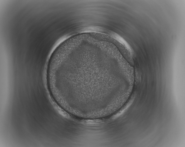 X0000111121138200908111014