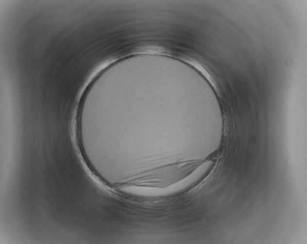 X0000111121139200908111014