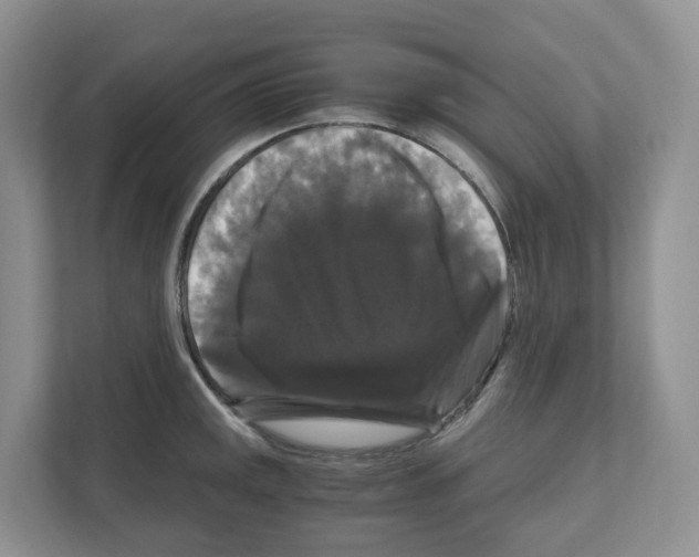 X0000111121141200908111014