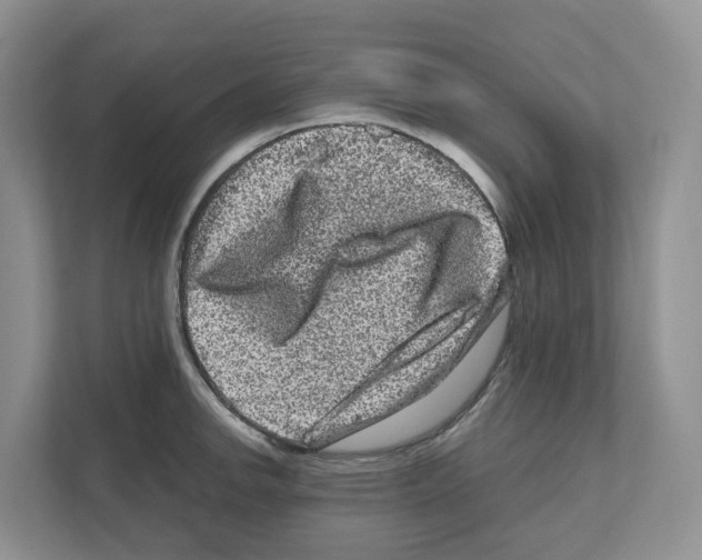 X0000111121142200908111014