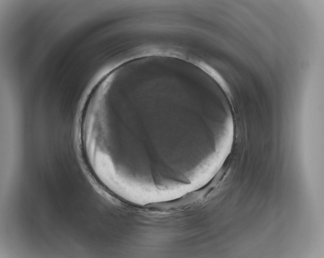 X0000111121144200908111014