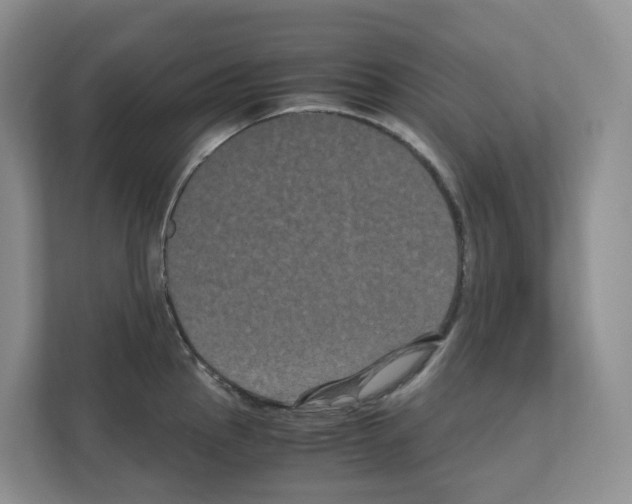 X0000111121145200908111014