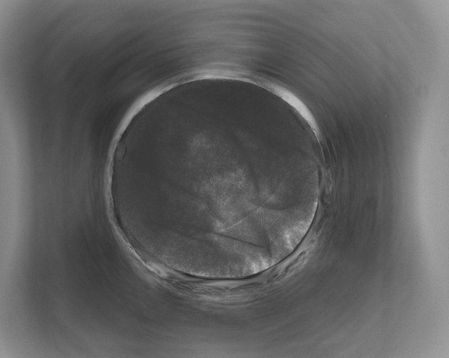 X0000111121146200908111014