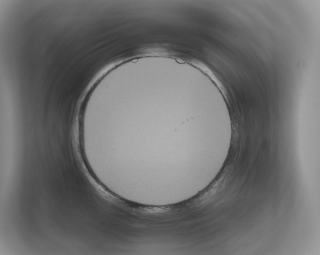 X0000111121147200908111014