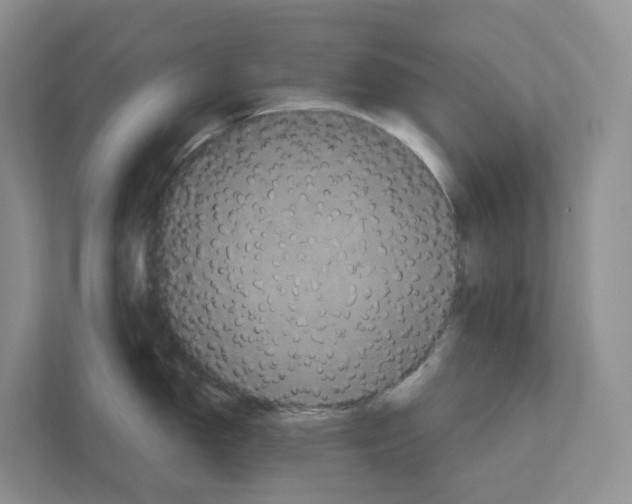 X0000111121150200908111014