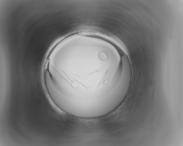 X0000111121152200908111014