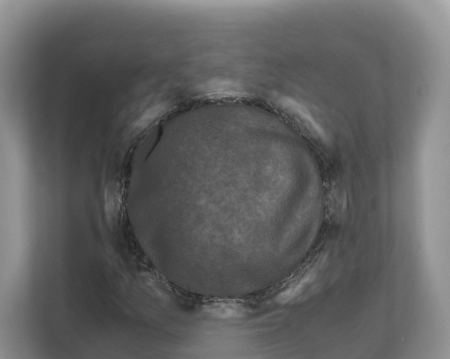 X0000111121157200908111013