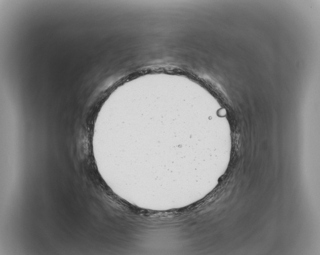 X0000111121159200908111013