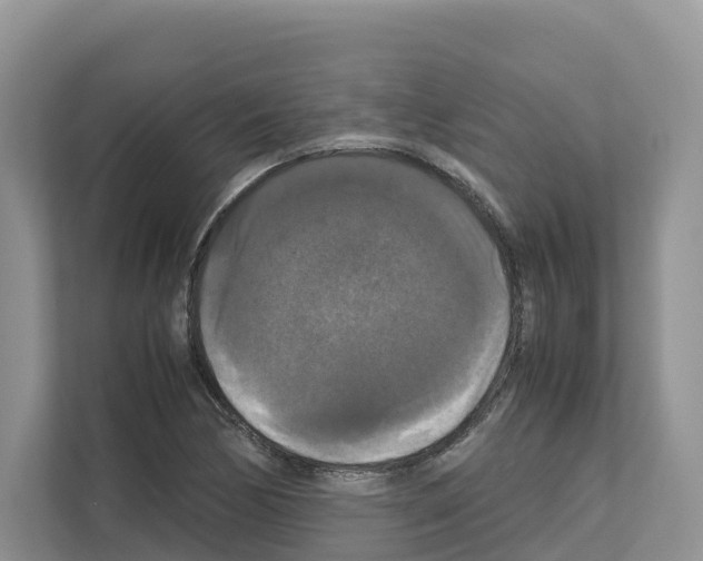 X0000111121170200908111013