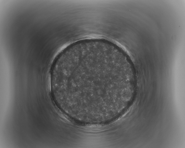 X0000111121171200908111013