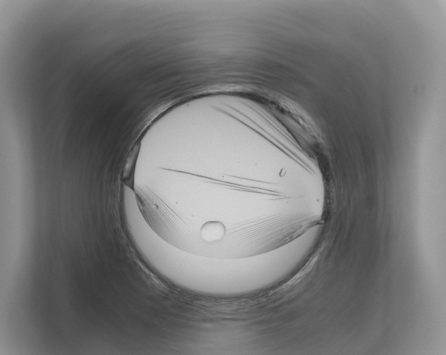 X0000111121177200908111013