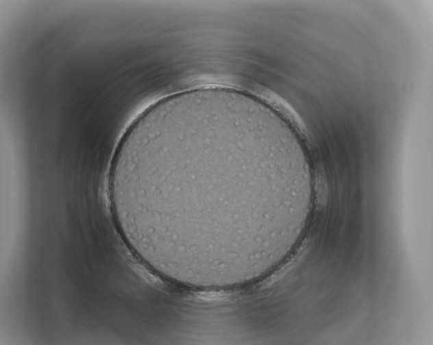 X0000111121182200908111013