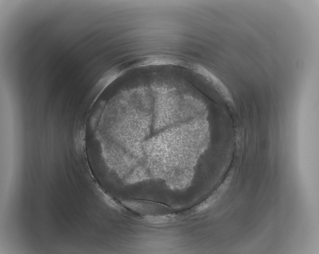 X0000111121185200908111013