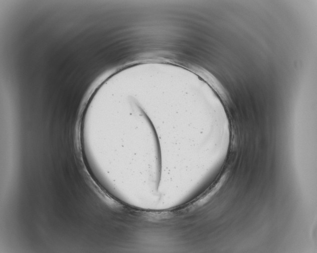 X0000111121196200908111013