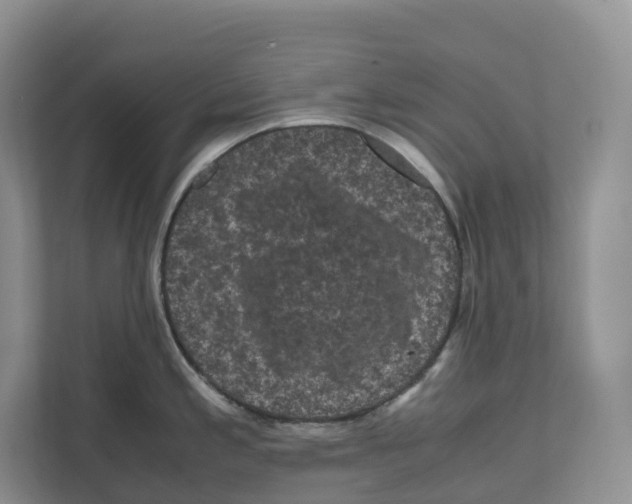 X0000111121197200908111013