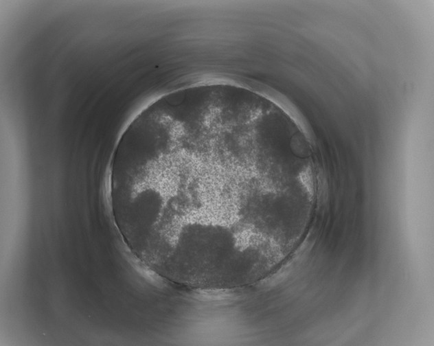 X0000111121198200908111013