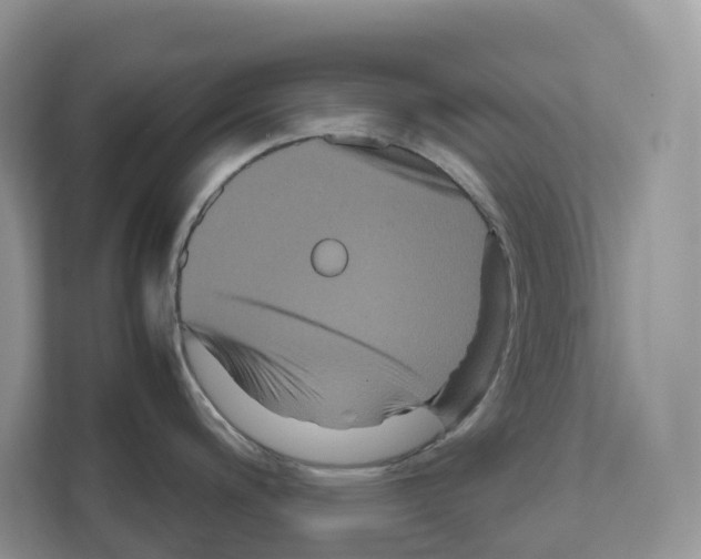 X0000111121200200908111013