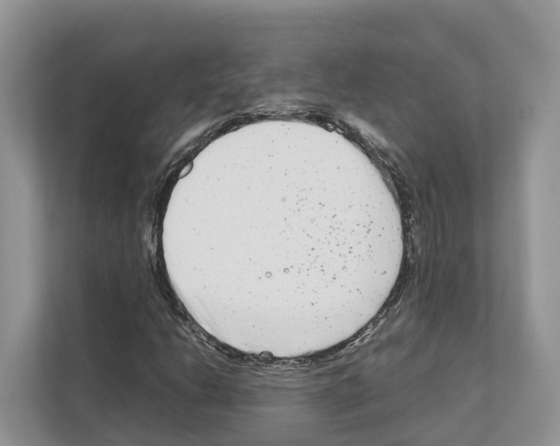 X0000111121206200908111012