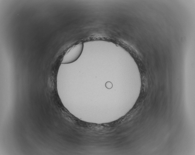 X0000111121207200908111012
