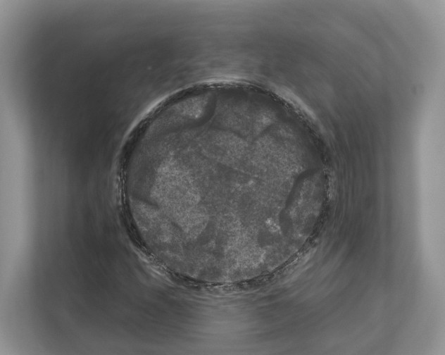 X0000111121208200908111012
