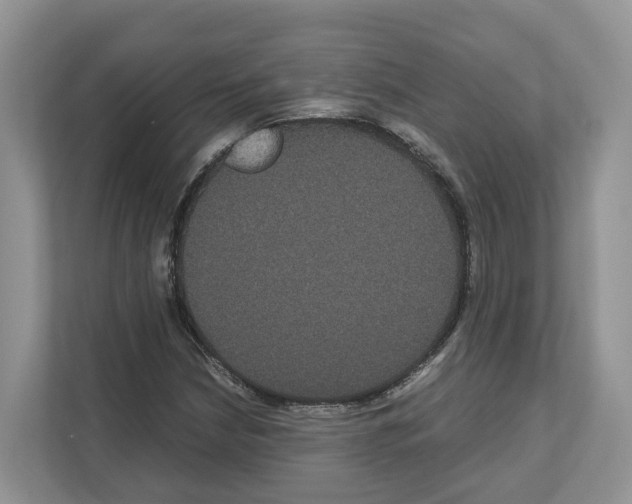 X0000111121210200908111012