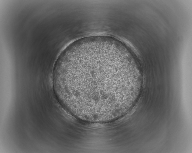 X0000111121212200908111012