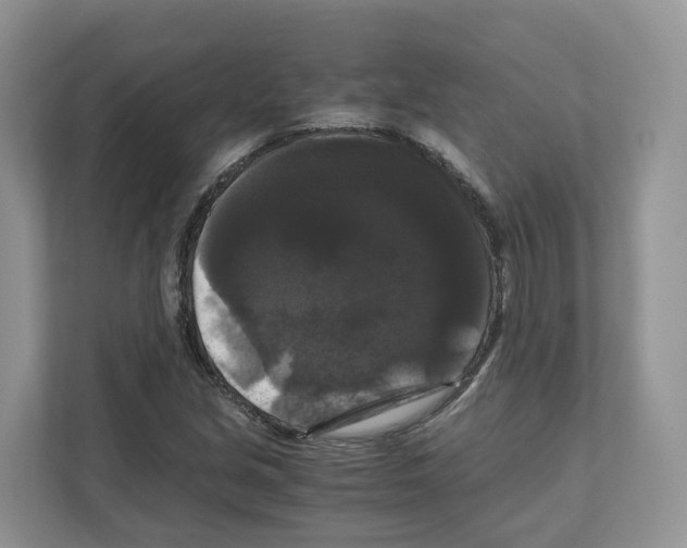 X0000111121213200908111012
