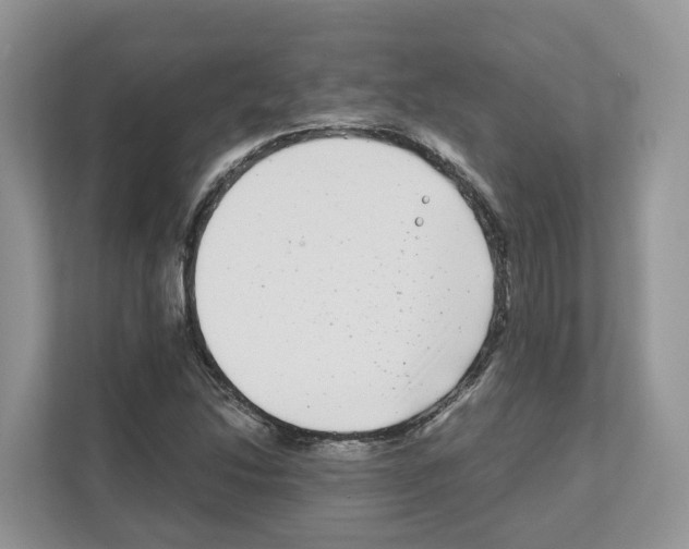 X0000111121214200908111012