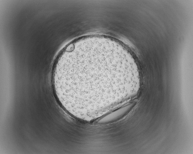 X0000111121216200908111012