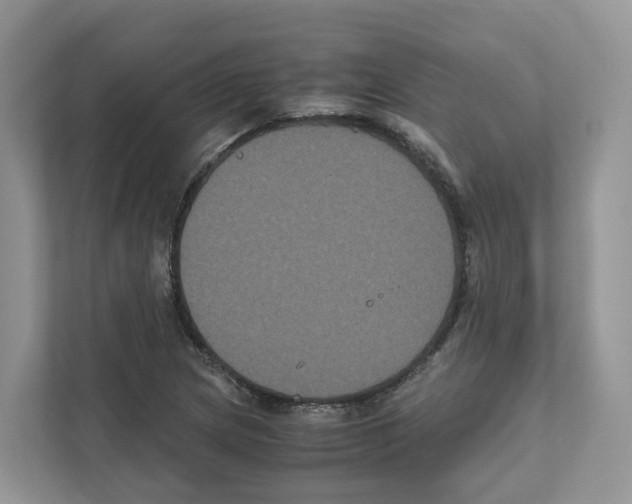 X0000111121217200908111012