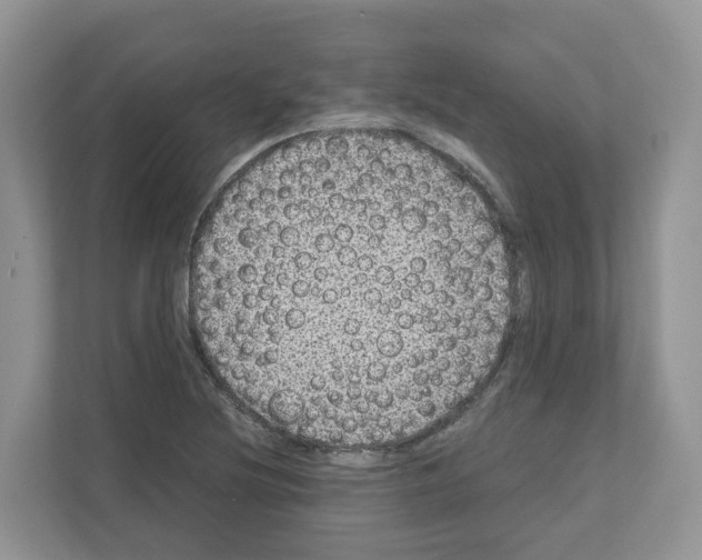 X0000111121220200908111012