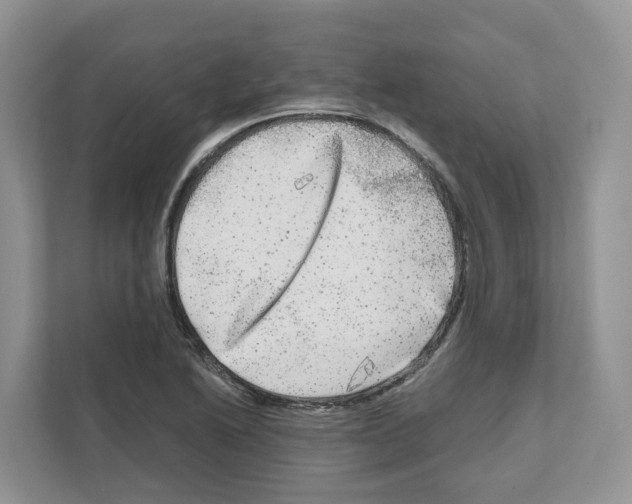 X0000111121222200908111012