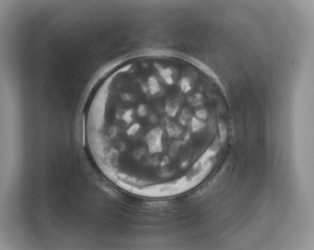 X0000111121223200908111012