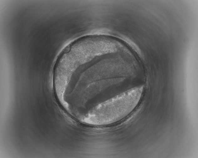 X0000111121224200908111012