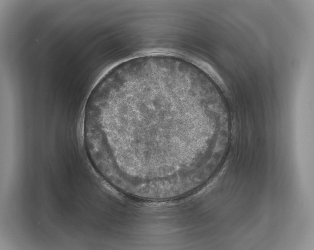 X0000111121228200908111012