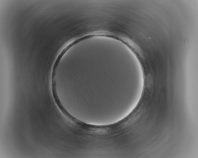 X0000111121229200908111012