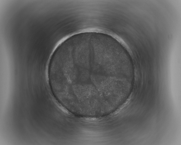 X0000111121230200908111012
