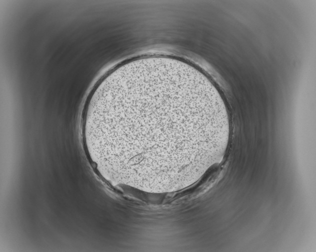 X0000111121232200908111012