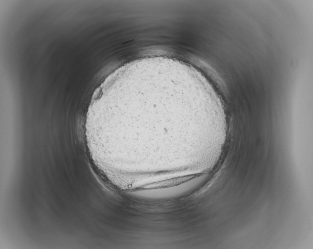 X0000111121233200908111012