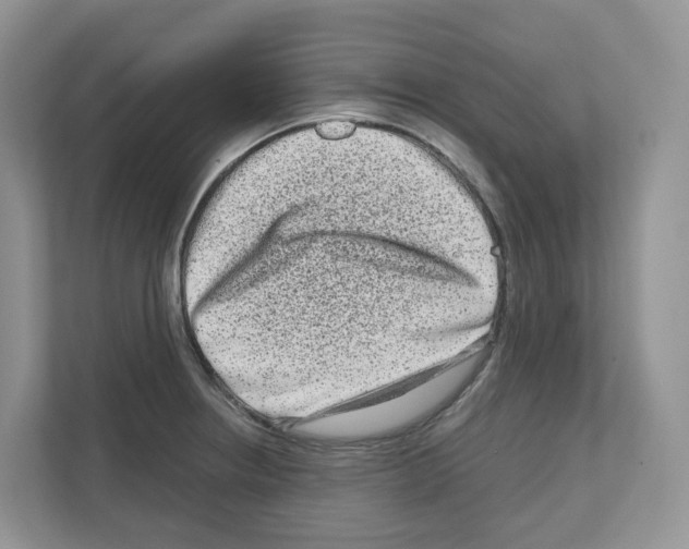 X0000111121234200908111012