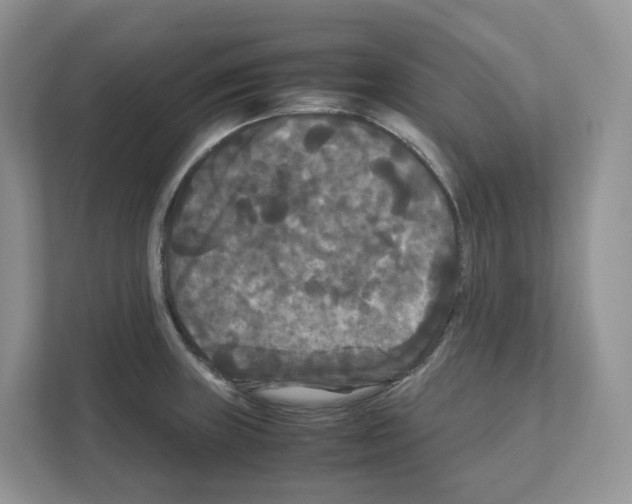 X0000111121235200908111012