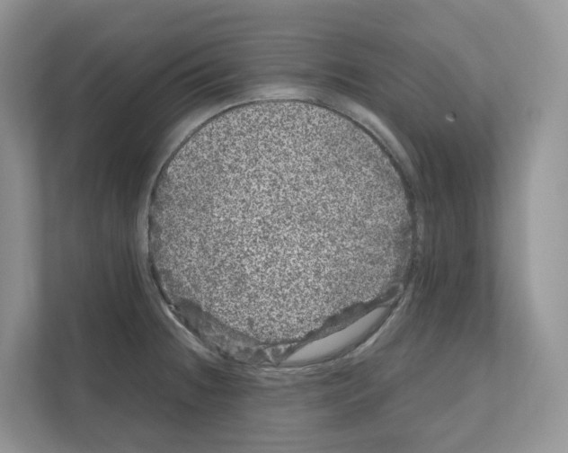 X0000111121236200908111012