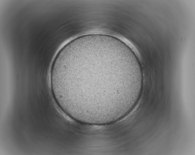 X0000111121238200908111012