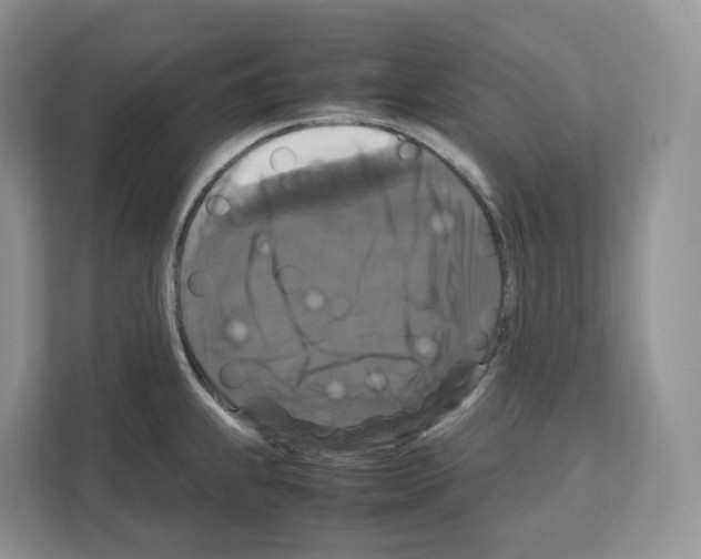 X0000111121239200908111012