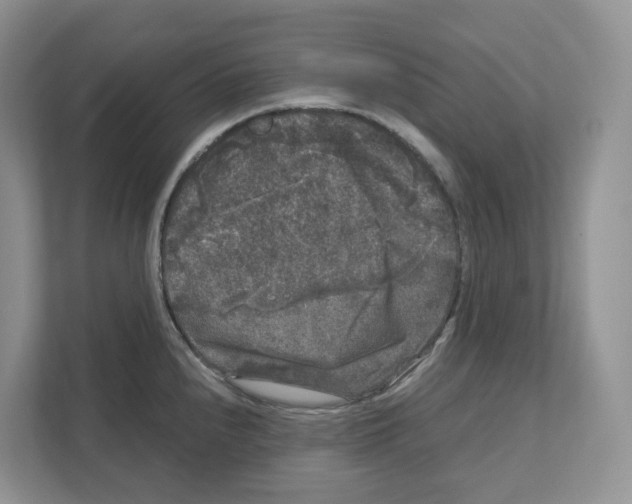 X0000111121240200908111012
