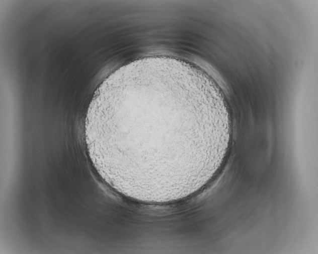 X0000111121241200908111012