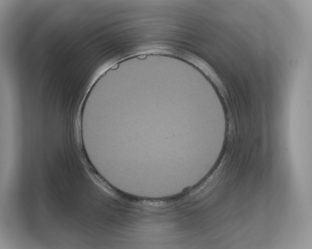 X0000111121242200908111012